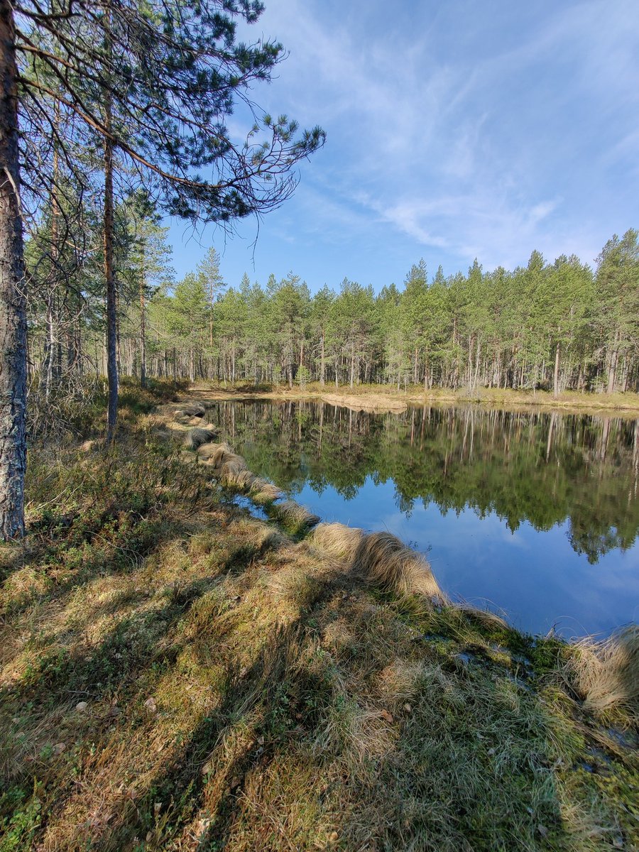 "Luonnon monimuotoisuus on entistä tärkeämpää"

bit.ly/lempimetsa

#LemPiMetsänPuolesta
#PelastaLähimetsät
#EiPuskiaistenOikaisua 
#EiPuskiaistenMoottoritietä