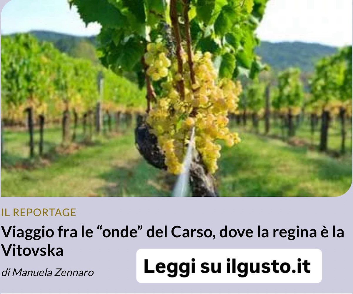 Manuela Zennaro tweet media