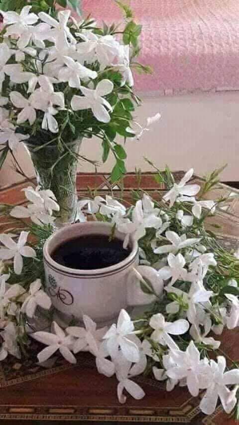 يوم جميل 🌹☕💞
