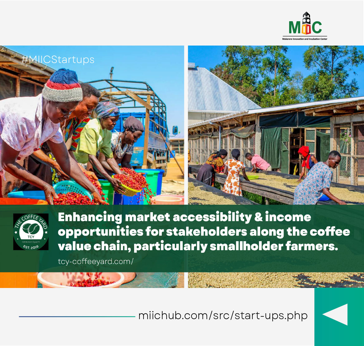 TCY Coffee ☕

Uganda is Africa’s second-largest coffee exporter, with over 1.8 million households relying on coffee for their livelihood yet many smallholder farmers struggle to earn fair value for their crop.

TCY (tcy-coffeeyard.com), a women-led coffee yard, is changing