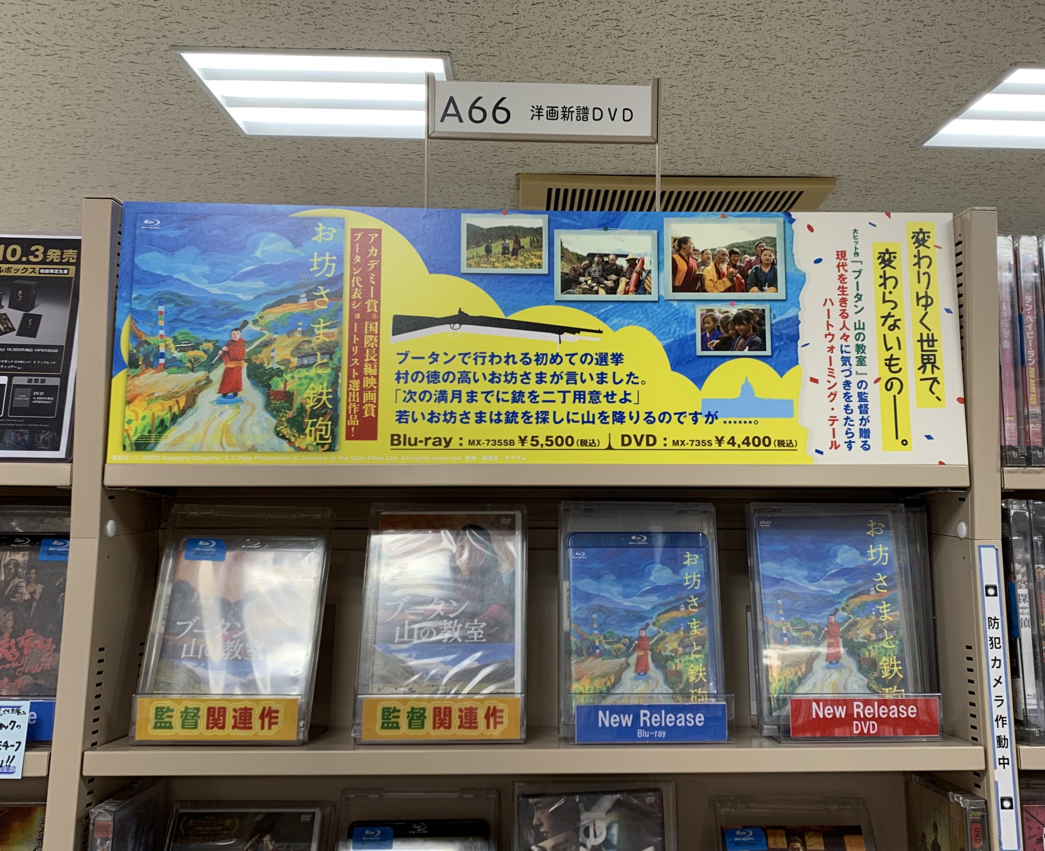 シルビアのいる街で('07スペイン/仏) 廃盤DVD 紀伊國屋書店 81xfE9CFeKL._UF350,350_QL50_.jpg