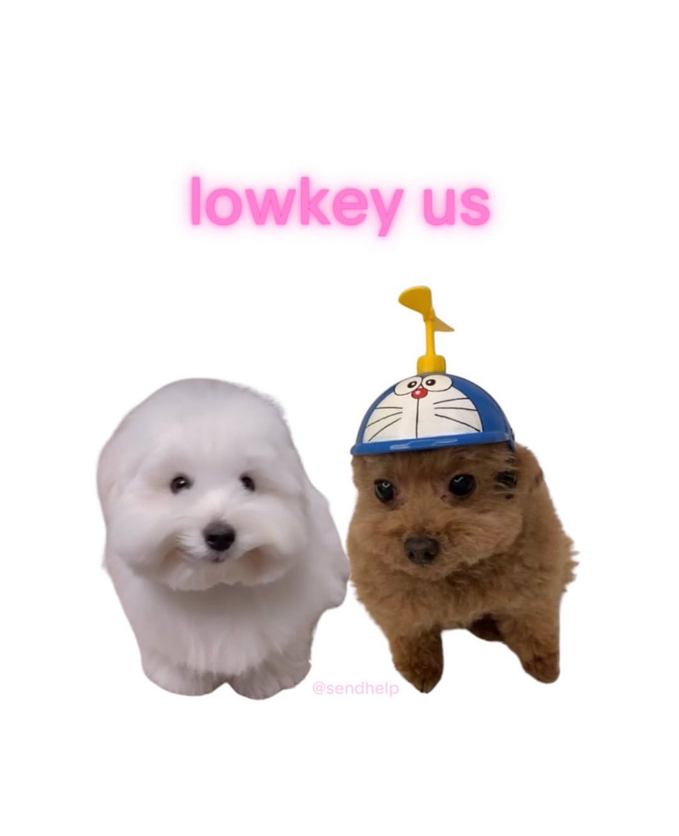 Me & Who? (@tagyourwho) on Twitter photo 