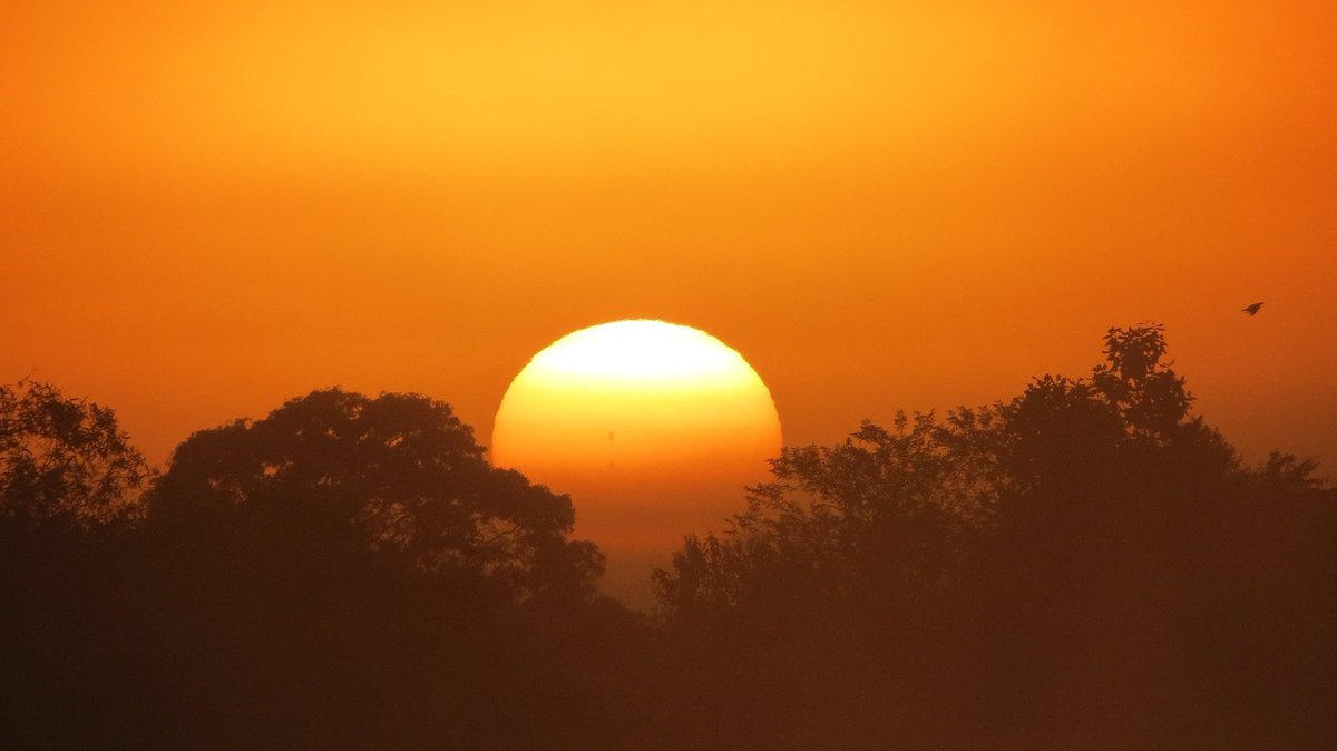 112 Castilla-La Mancha (@112clm) on Twitter photo #BuenosDías. Damos comienzo a la segunda semana de julio con temperaturas altas 🌡️en #Toledo y #CiudadReal, tal y como es normal en verano. Disfruten si están de vacaciones y si les toca trabajar, eviten el calor en la medida de lo posible. #112clm #BuenosDías. Damos comienzo a la segunda semana de julio con temperaturas altas 🌡️en #Toledo y #CiudadReal, tal y como es normal en verano. Disfruten si están de vacaciones y si les toca trabajar, eviten el calor en la medida de lo posible. #112clm