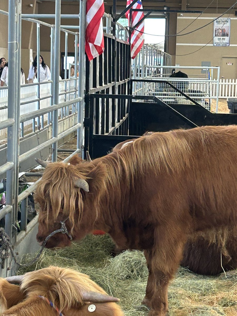San Diego county fair wrapping up 2025 #sandiego #sdfair #pet-tacular <a href="/SDFair/">San Diego County Fair (#sdfair)</a> <a href="/CBS8/">CBS 8 San Diego</a> #delmar