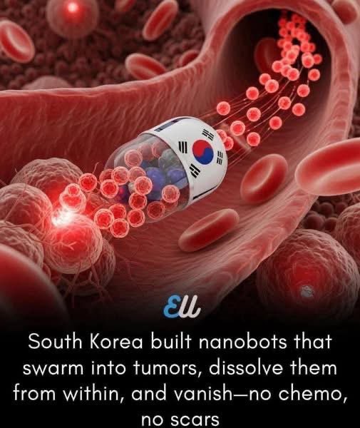 Өмнөд Солонгос хавдрыг дотроос нь устгадаг нанобот бүтээжээ!

Эдгээр наноботууд:

 • Цусны урсгалаар дамжин хавдрын байрлал руу очдог
• Хавдрын хүчиллэг орчныг мэдэрмэгц өөрөө “цэрэг мэт” хэлбэрт шилжиж
• Хавдрын эсийн ханыг цоолж, дотроос нь дулаанаар устгадаг