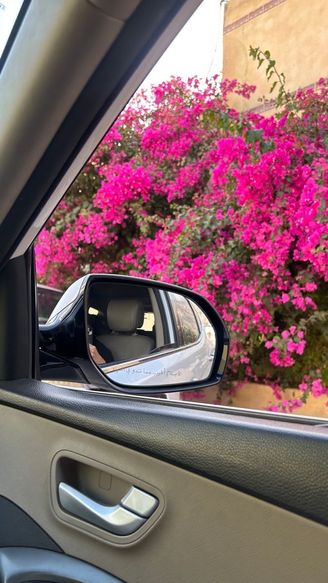 Assalamualaikum.
Good Morning.