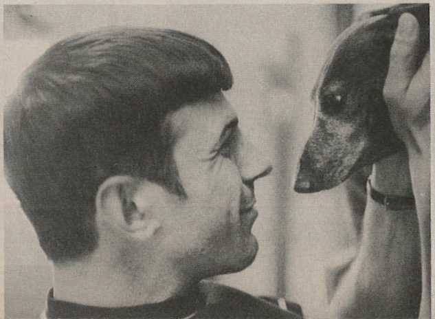 nimoy_daily's tweet image. 