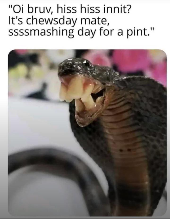 Master_IT_tech's tweet image. 