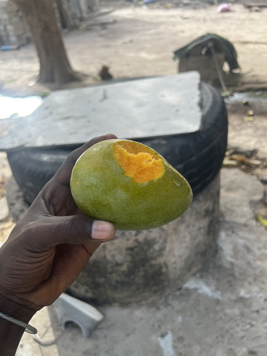 john_the_humble's tweet photo. Gambia 🇬🇲 https://t.co/Irqq8ERaUG