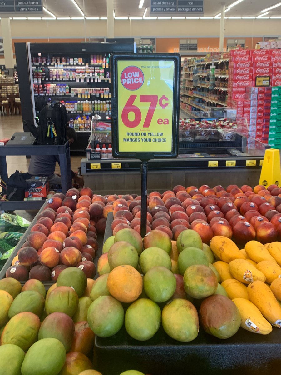 joltik⚡️ tweet media