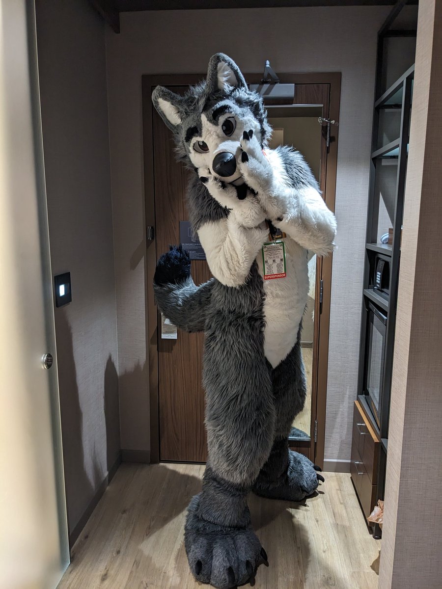 CoastHusky 🔜 AO | AC tweet media