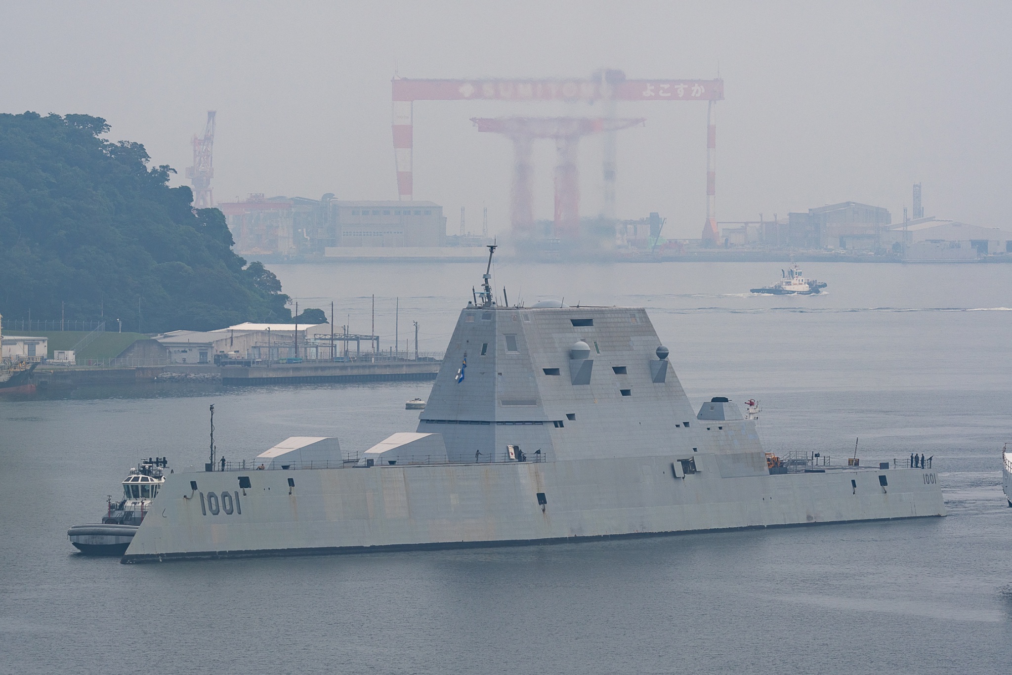 マグナムモンク②_SAURUS SAURUS Salt マグナムモンク ジャイアント