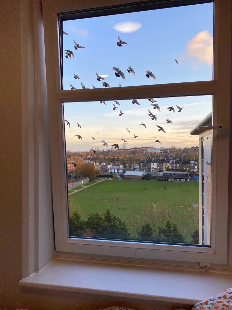 Lisa8945's tweet image. I miss the time when I was devoted to reading and watched the four seasons of London through the window.#rental #study abroad life #Live in London #Reading #Work #Strolling life