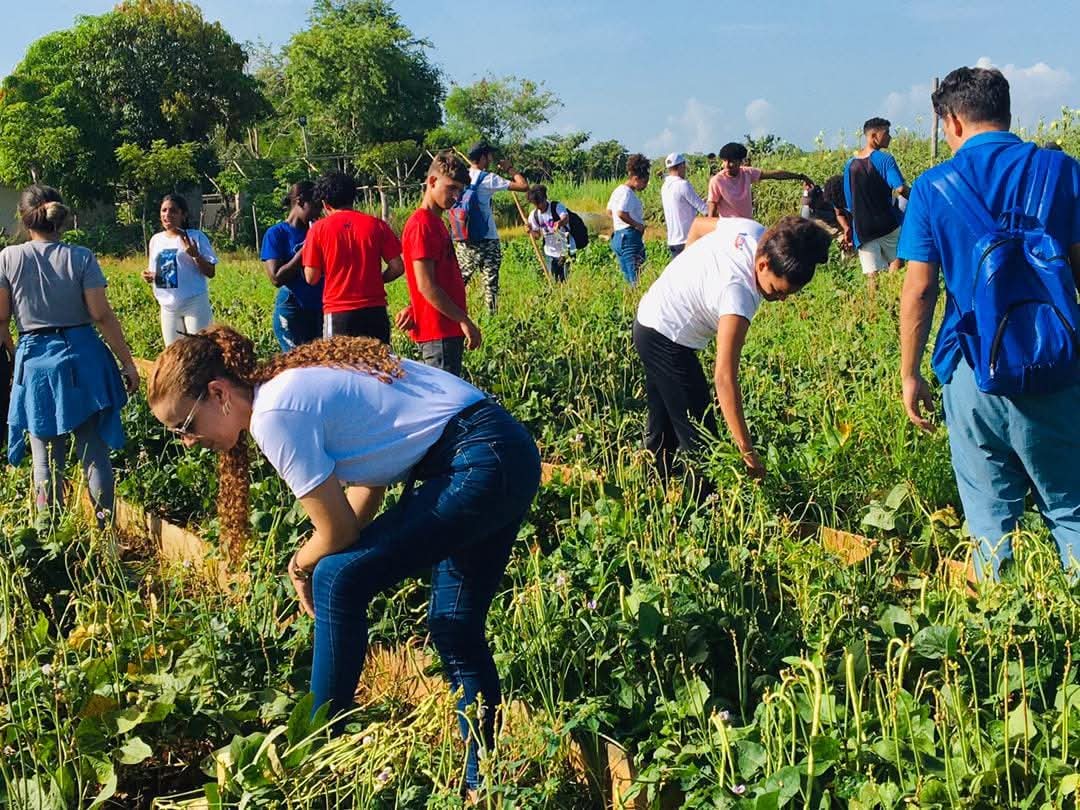 Campamento agricola Abdala, jovenes de #LaHabanaDeTodos inician el verano aportando a la produccion de alimentos. Nada como ser util. #LaLuchaNoHaCesado #CubaVencerá
