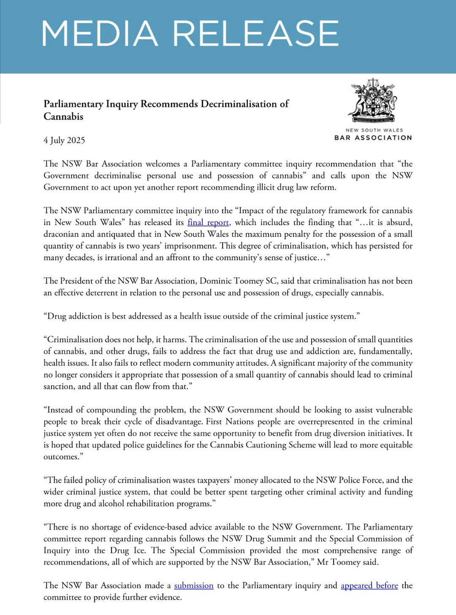 "Criminalisation does not help, it harms"
Yet another call for the NSW government to act on evidence based advice provided in a multitude of reports.