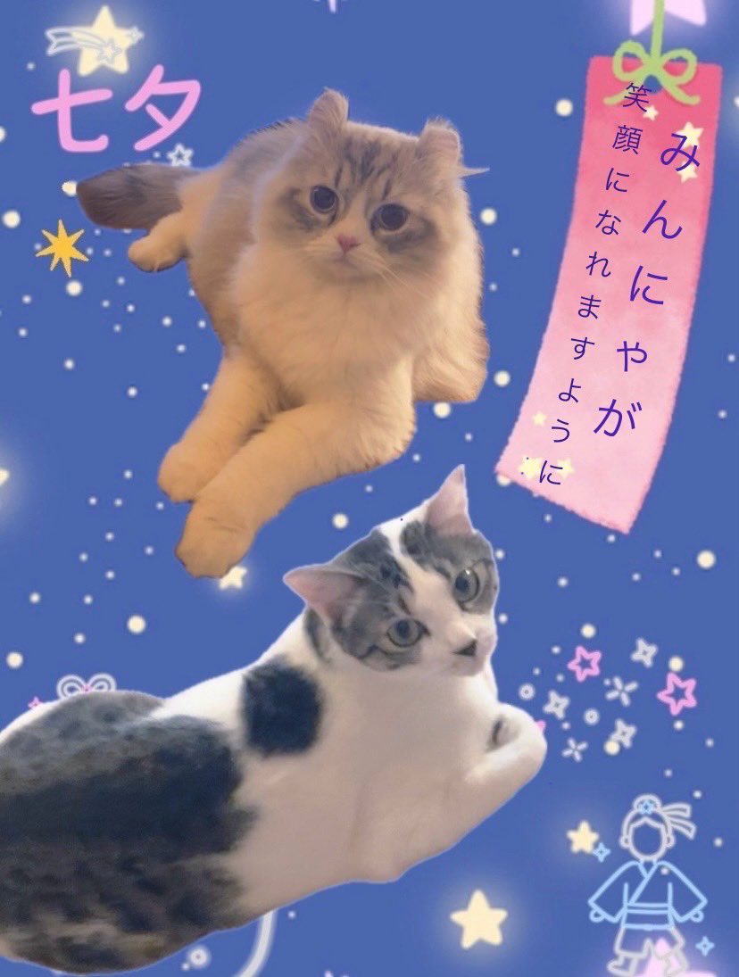 Emma🍃ᨎSakku 🍃𖤥𖠿𖥧𖤥ᜊ on X: 
