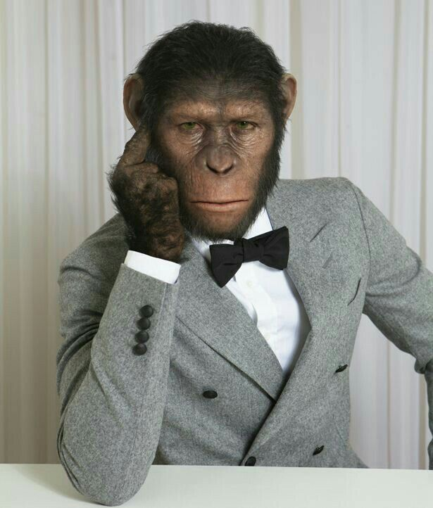 synenthusiast's tweet image. Do you know who has a birthday on 07/07?