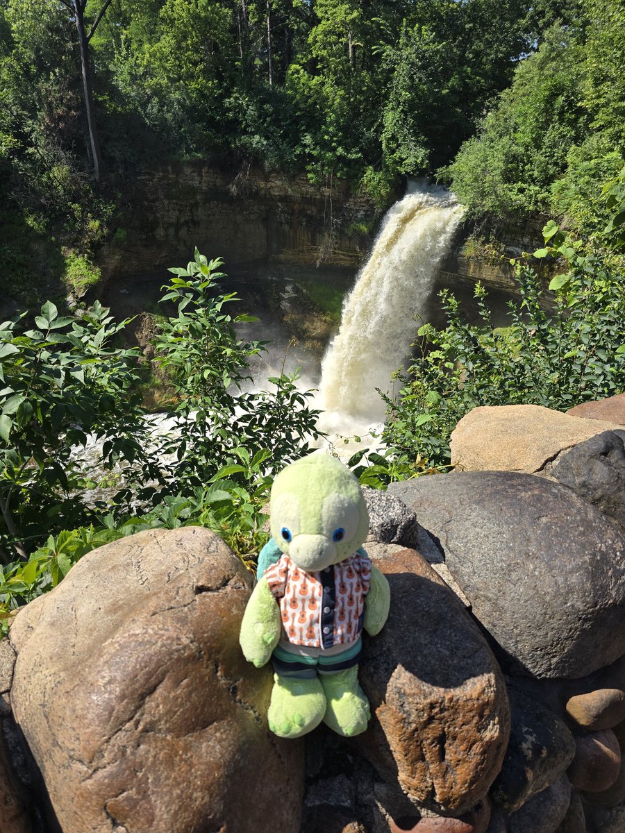 🌴🤙🐢 Olu & Ohana 🐢🤙🌴 tweet media