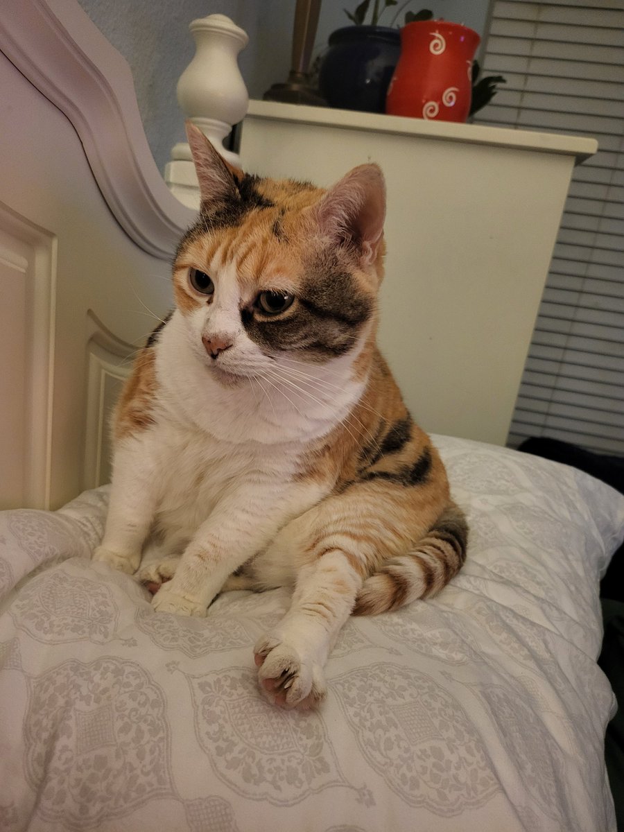 mirabetterment's tweet image. Another Sunday, another @CleeWeezy Sit!