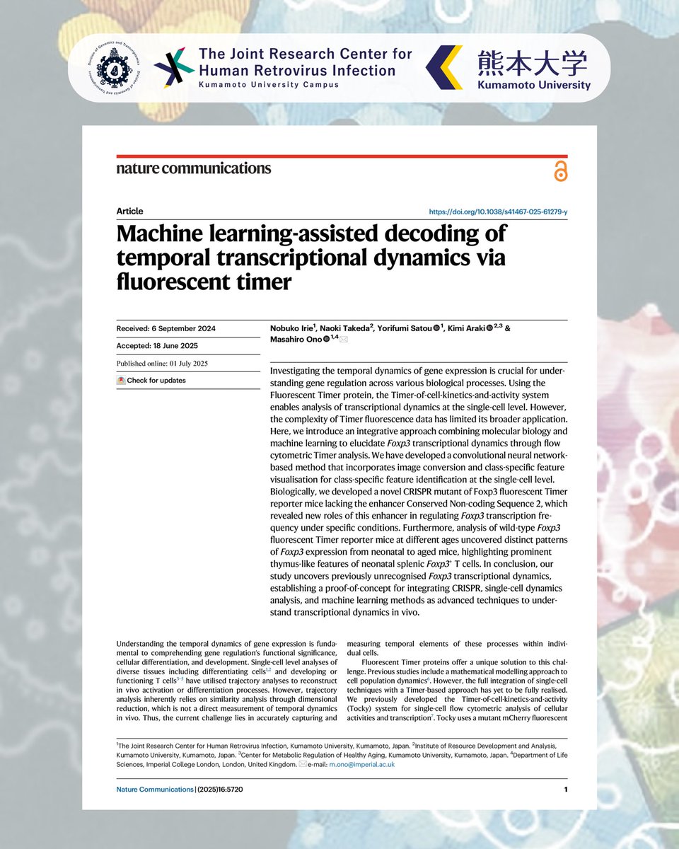 Sato_Y_Lab's tweet photo. Dr. @masahirono (@imperialcollege, UK), together with Dr. Nobuko Irie, Dr. Naoki Takeda, @Sato_Y_Lab, and Prof. Kimi Araki, has unveiled a machine learning-powered method to decode transcriptional dynamics using a Fluorescent Timer system.
@NatureComms, https://t.co/PL68uYCLUx https://t.co/S5BMh6nbb8