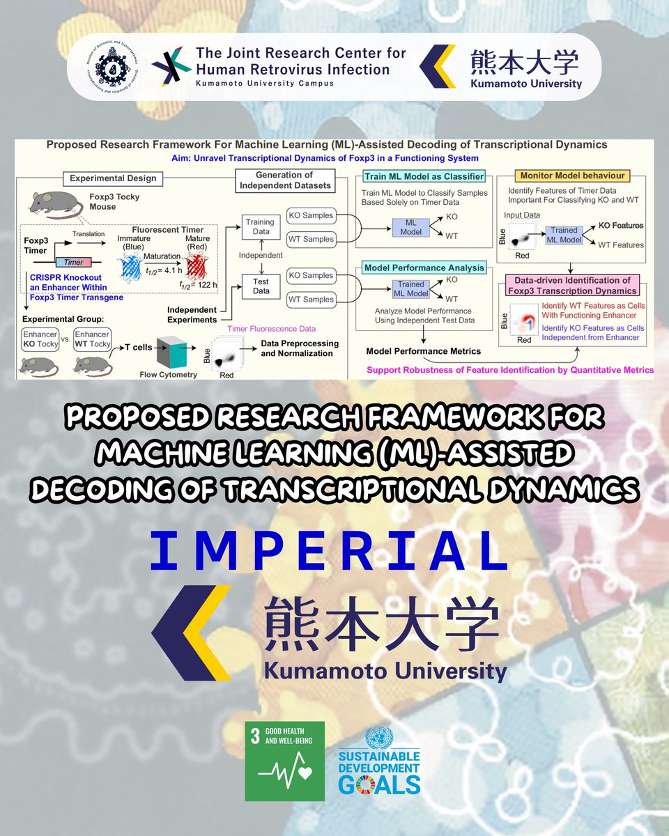 Satou Lab - Kumamoto University (@sato_y_lab) on Twitter photo Dr. <a href="/masahirono/">Masahiro Ono 小野 昌弘</a> (<a href="/imperialcollege/">Imperial College London</a>, UK), together with Dr. Nobuko Irie, Dr. Naoki Takeda, <a href="/Sato_Y_Lab/">Satou Lab - Kumamoto University</a>, and Prof. Kimi Araki, has unveiled a machine learning-powered method to decode transcriptional dynamics using a Fluorescent Timer system.
<a href="/NatureComms/">Nature Communications</a>, doi.org/10.1038/s41467… Dr. <a href="/masahirono/">Masahiro Ono 小野 昌弘</a> (<a href="/imperialcollege/">Imperial College London</a>, UK), together with Dr. Nobuko Irie, Dr. Naoki Takeda, <a href="/Sato_Y_Lab/">Satou Lab - Kumamoto University</a>, and Prof. Kimi Araki, has unveiled a machine learning-powered method to decode transcriptional dynamics using a Fluorescent Timer system.
<a href="/NatureComms/">Nature Communications</a>, doi.org/10.1038/s41467…