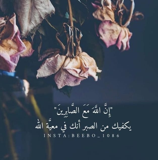 💌طمأنينة:
أننا في "معيّة الله" هذا وحده قادر علىٰ بث الطمأنينه في أنفسنا حتىٰ وإن كُنا في ذروة قلقنا وهلاكنا.
════•❃✿❃•════