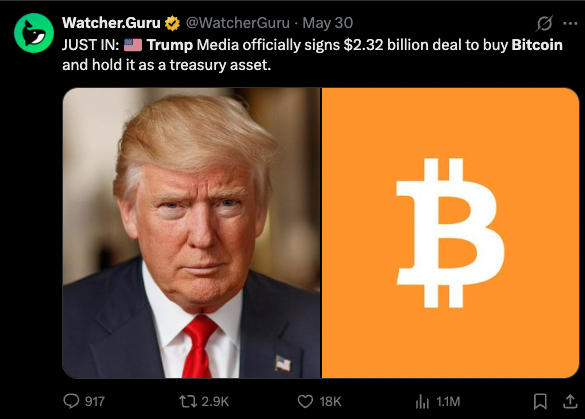 pakpakchicken's tweet image. GUYS. STOP IT. Elon still likes Trump. It's always about keeping attention high. Trump said it.
IT'S ALL A PLOT TO PUMP BITCOIN