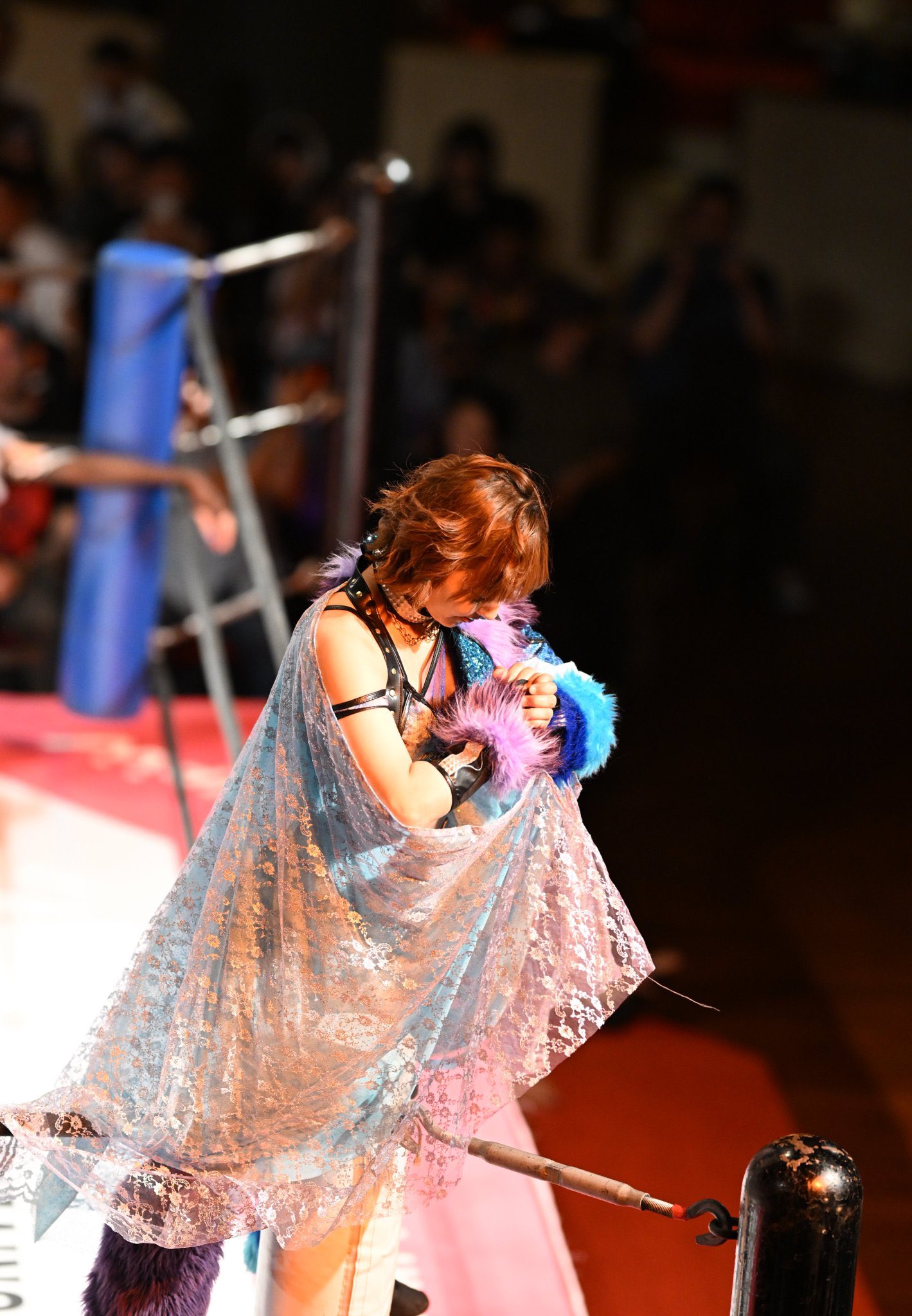 長谷川美子 Yoshiko Hasegawa on X: 