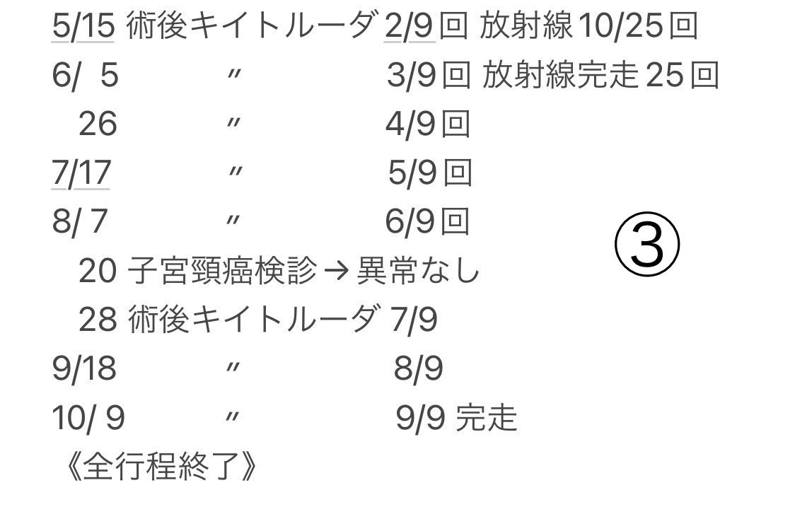 乳がん標準治療を頑張ってきた方が約2年の闘病生活の末に亡くなりました。がん宣告から標準治療の終了迄の記録を公開されていたのでご紹介させて頂きます。ご冥福をお祈りいたします。