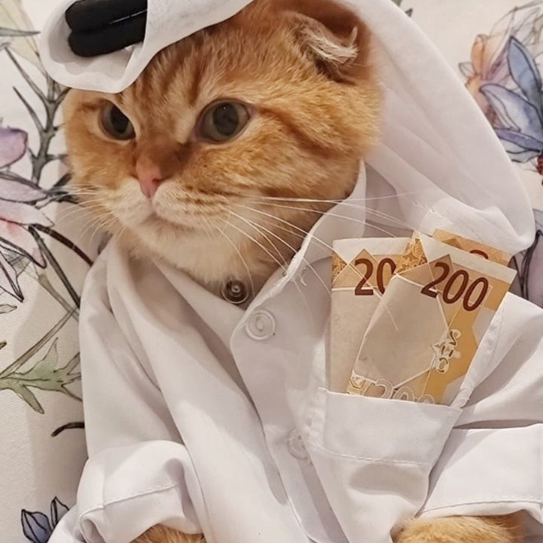 I would have a quant that’s a Saudi sultan and owns a oil drill $venus