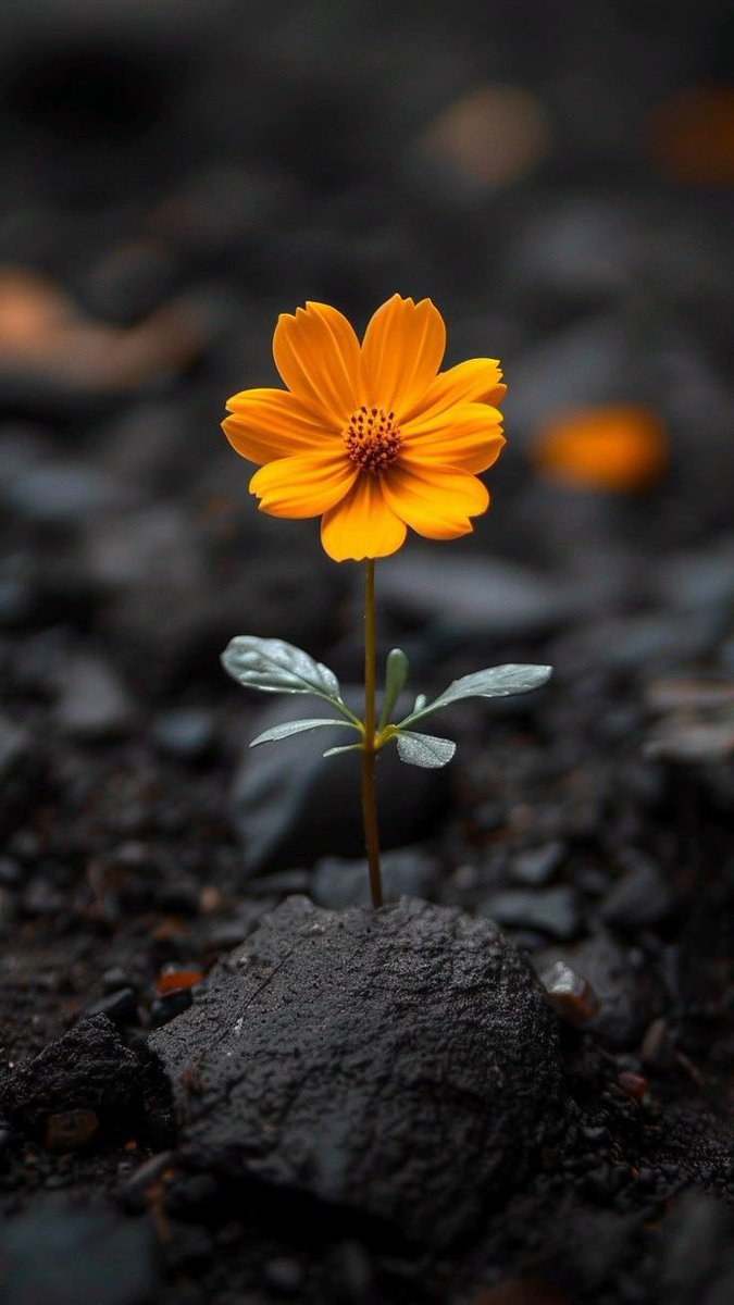 đâď¸đđsĘá´Ęá´˘á´á´
á´á´É´ÉŞĘđâď¸đâď¸ (@shz787) on Twitter photo #P_PTi đ <a href="/Y22NY/">YASEEN</a>
<a href="/NM1k_/">ŕźş đđđľđŹđŹđľđ¨đŻđđ ŕźť</a> <a href="/MNPTi1/">đ.đđđâââđđ˛đŤđ°đŚđŁđď¸ââ ابŮŘłŮŮ
ââđś</a>
<a href="/As_t40/">đ đđđđđđŤ</a> <a href="/P_PTi4/">Nosheen Aurangzaib</a>
<a href="/P_PTi3/">đ_đđđ˘ _đ đđđđđđđđ</a>
<a href="/IAIJ_/">Genghis Khan</a>
<a href="/IAIJ1_/">Javed Iqbal</a>
<a href="/IAIT_/">Talat Iqbal</a>
<a href="/skiii7i/">S khan</a>
<a href="/553ik/">đş*đđ ŕłâ˘đŕłđđđ.⢠'*đş.ŕł</a>
<a href="/4mir_8/">Aamir Hayat Awan</a>
<a href="/NM3k_/">ââ
đ đŠđ¸đ¸đŠđđť đ â
â</a>
<a href="/B_Ali11/">âŻđđđ đđđđ đđđđđđ˘đâŻđľđ°đşđ¸ âď¸đŚ</a>
<a href="/Hfz512/">Abdul Hafeez</a>
<a href="/TipuS1_/">Tipu Sultan á´žáľáľá´žáľĘˇáľĘł</a>
<a href="/shZ447/">đđđđđŤđđ đđŚđđđŁ</a>
<a href="/Sprxzy2/">Umar PTI</a>
<a href="/sam_5as/">Aslam Sameer</a>
<a href="/zimal293/">đŚđá´sĘÉŞá´
á´ĘđŚ</a>
<a href="/00munsif/">#đ_đđđ˘ đ đđŽđ§đŹđ˘đ đđĽđ˘</a>
<a href="/zubm9231/">ZUBAIR Muhammad</a>
<a href="/SKPTI804/">ęąá´Ęá´á´É´ á´á´á´Ęá´É´ áľáľáľáľË˘áľáľ</a>
<a href="/A_khan804/">اÚڞ٠؎ا٠(اشع٠ŮŘľŮŘąŰ) بڞŮŘŞ áľáľáľáľË˘áľáľâ°ď¸</a>
<a href="/CarloSportfan/">SportISmyLIFE â˝âžđđđđžđłđđâł</a>
<a href="/yasirkhan7845/">Yasir Khan</a>
<a href="/Owais_khan619/">Owais_khan619</a>
<a href="/KamranA17555180/">ISF Sindh Official đ§đŤ</a> #P_PTi đ <a href="/Y22NY/">YASEEN</a>
<a href="/NM1k_/">ŕźş đđđľđŹđŹđľđ¨đŻđđ ŕźť</a> <a href="/MNPTi1/">đ.đđđâââđđ˛đŤđ°đŚđŁđď¸ââ ابŮŘłŮŮ
ââđś</a>
<a href="/As_t40/">đ đđđđđđŤ</a> <a href="/P_PTi4/">Nosheen Aurangzaib</a>
<a href="/P_PTi3/">đ_đđđ˘ _đ đđđđđđđđ</a>
<a href="/IAIJ_/">Genghis Khan</a>
<a href="/IAIJ1_/">Javed Iqbal</a>
<a href="/IAIT_/">Talat Iqbal</a>
<a href="/skiii7i/">S khan</a>
<a href="/553ik/">đş*đđ ŕłâ˘đŕłđđđ.⢠'*đş.ŕł</a>
<a href="/4mir_8/">Aamir Hayat Awan</a>
<a href="/NM3k_/">ââ
đ đŠđ¸đ¸đŠđđť đ â
â</a>
<a href="/B_Ali11/">âŻđđđ đđđđ đđđđđđ˘đâŻđľđ°đşđ¸ âď¸đŚ</a>
<a href="/Hfz512/">Abdul Hafeez</a>
<a href="/TipuS1_/">Tipu Sultan á´žáľáľá´žáľĘˇáľĘł</a>
<a href="/shZ447/">đđđđđŤđđ đđŚđđđŁ</a>
<a href="/Sprxzy2/">Umar PTI</a>
<a href="/sam_5as/">Aslam Sameer</a>
<a href="/zimal293/">đŚđá´sĘÉŞá´
á´ĘđŚ</a>
<a href="/00munsif/">#đ_đđđ˘ đ đđŽđ§đŹđ˘đ đđĽđ˘</a>
<a href="/zubm9231/">ZUBAIR Muhammad</a>
<a href="/SKPTI804/">ęąá´Ęá´á´É´ á´á´á´Ęá´É´ áľáľáľáľË˘áľáľ</a>
<a href="/A_khan804/">اÚڞ٠؎ا٠(اشع٠ŮŘľŮŘąŰ) بڞŮŘŞ áľáľáľáľË˘áľáľâ°ď¸</a>
<a href="/CarloSportfan/">SportISmyLIFE â˝âžđđđđžđłđđâł</a>
<a href="/yasirkhan7845/">Yasir Khan</a>
<a href="/Owais_khan619/">Owais_khan619</a>
<a href="/KamranA17555180/">ISF Sindh Official đ§đŤ</a>