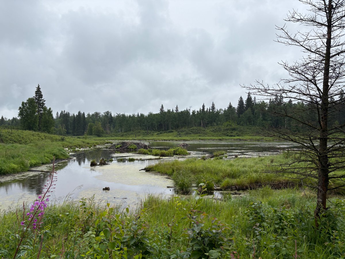 Lisa Corbett (she/her) tweet media