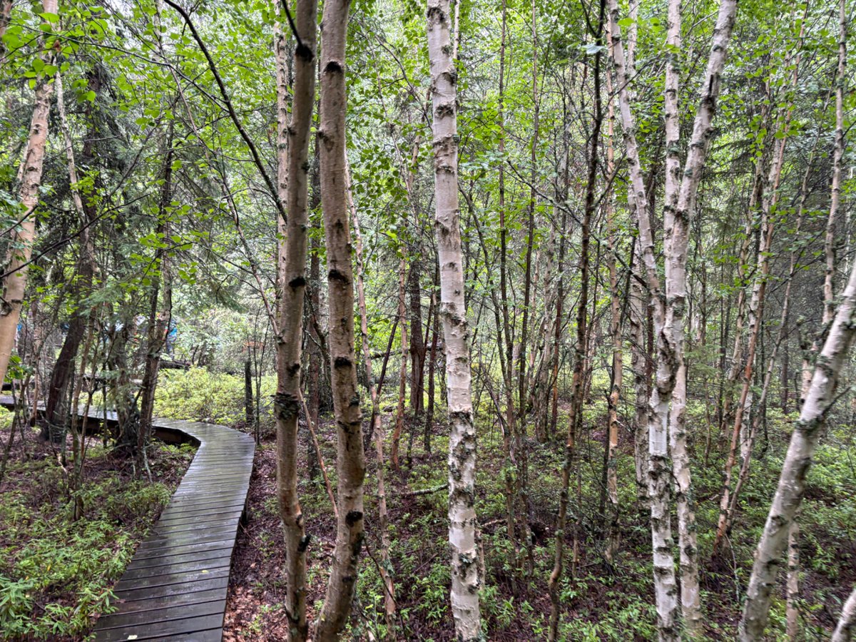 Lisa Corbett (she/her) tweet media