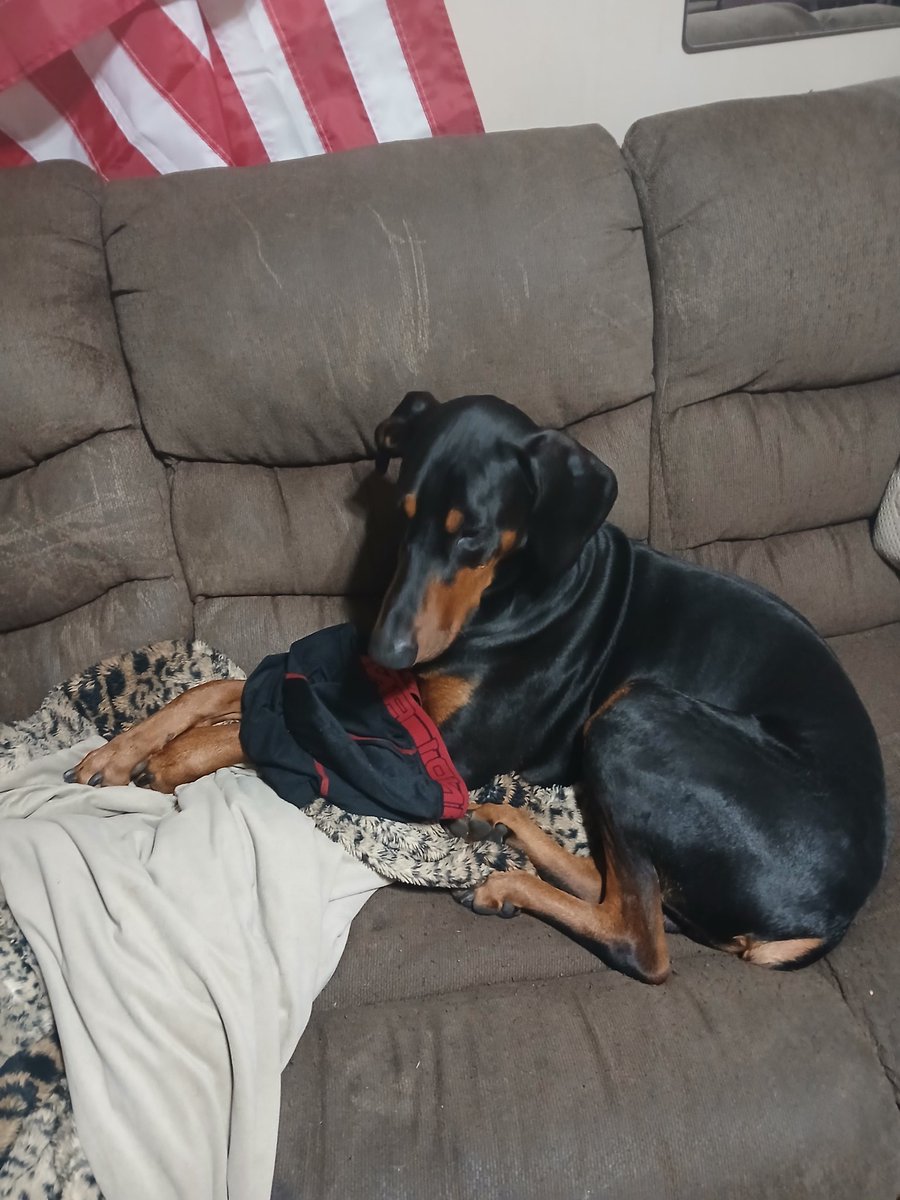 AaronHeimbach's tweet photo. @1Nicdar This is Snoop. I'm trying to get him cast as the new flying nun. https://t.co/ypB7TCZ2ZW
