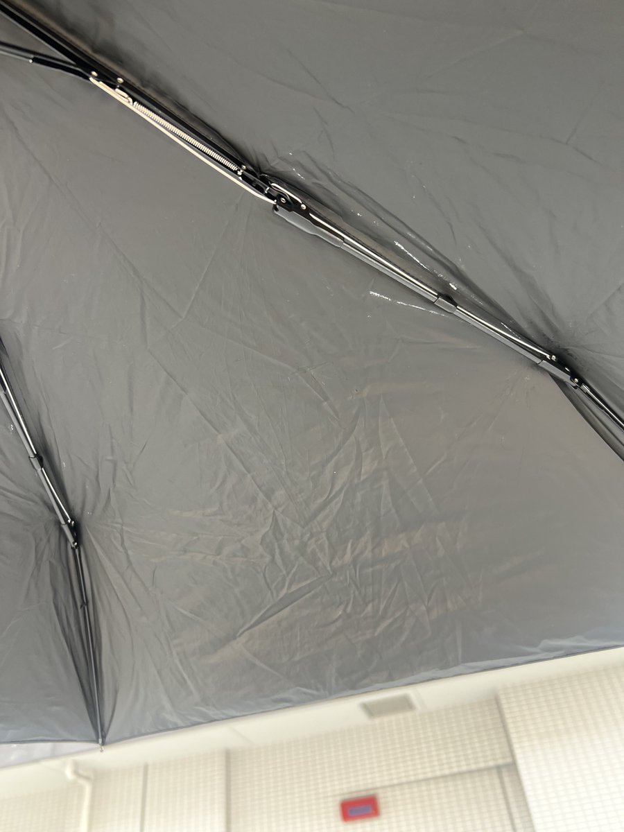 ７月７日七夕だねぇ
かわせは今年買った日傘を２本ともなくして雨傘さして歩いてます