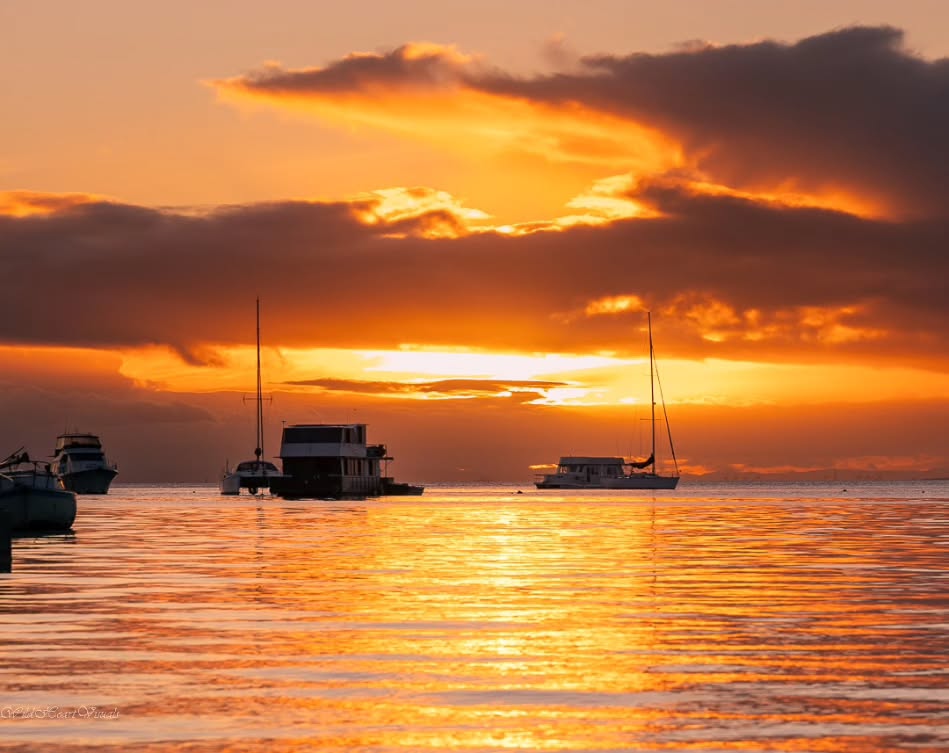 North Stradbroke Island tweet media