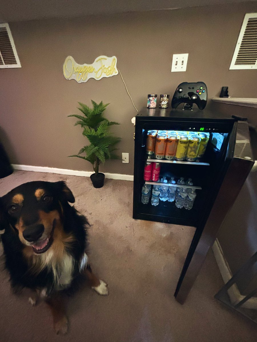 Bartender’s pretty chill