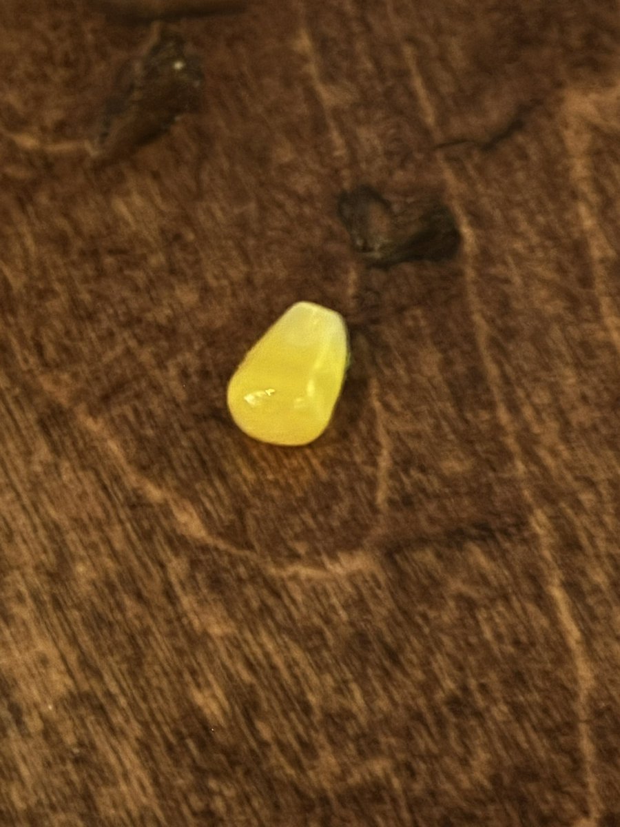 Have you ever pulled out of a bottom and there’s been a piece of corn on it