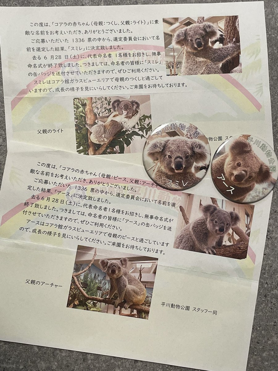 さきほど平川動物公園さんから郵便が✨

🐨スミレちゃん
🐨アースくん

命名者の記念バッジをいただきました
ありがとうございます
2頭ともの命名者になれてうれしいです

中でも、大好きなつーちゃん🐨お仔の名付け親(の1人)になれて感激です
