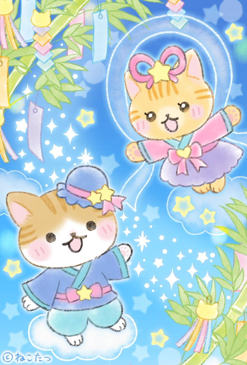 公式】ねこたつ 〜 いつでもそばにいるニャ。 (@nekotatsu5) / X