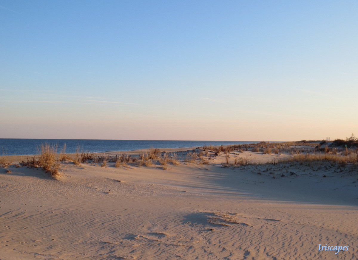 Iriscapes's tweet image. over the sand dunes
the salt air sweeps
across cerulean seas . . .
in each other's love
we see infinity