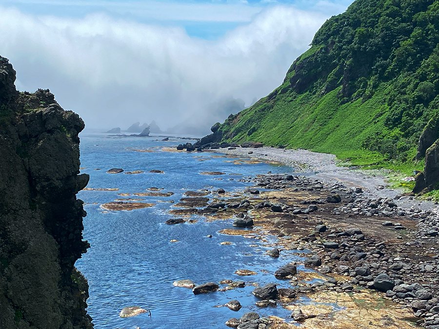 rusafieldhouse's tweet image. 【短い夏がやって来た】
ルサフィールドハウスWEBサイトのブログが更新されました。ぜひご覧ください♪
policies.env.go.jp/park/shiretoko…
