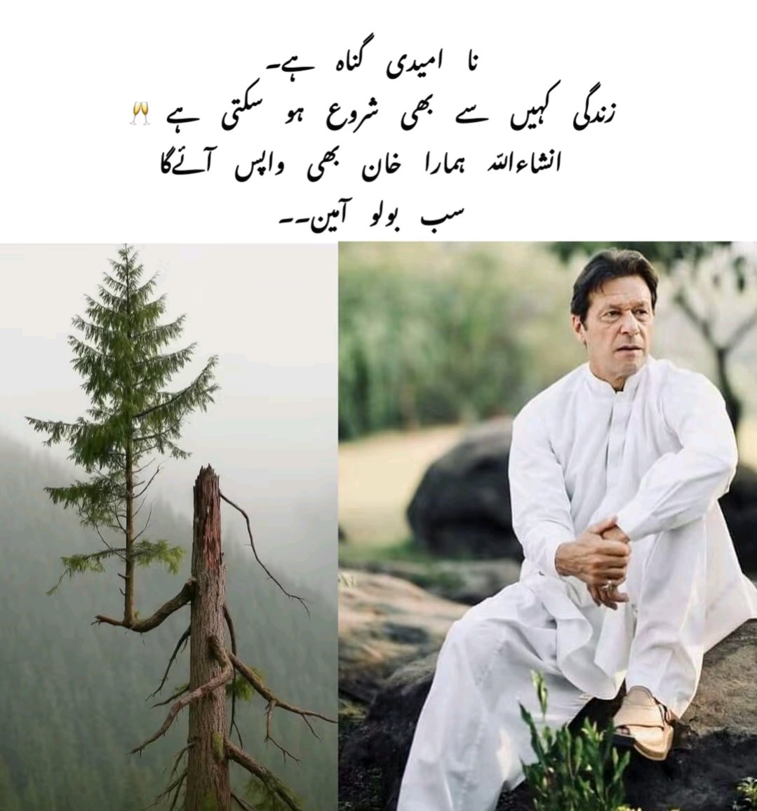 đ.đđđâââđđ˛đŤđ°đŚđŁđď¸ââ ابŮŘłŮŮ
ââđś (@mnpti1) on Twitter photo <a href="/PTIJAPANNN/">PTI JAPANđľđ¸â¤#804</a> <a href="/ImranKhanPTI/">Imran Khan</a> <a href="/Y22NY/">YASEEN</a> <a href="/NM1k_/">ŕźş đđđľđŹđŹđľđ¨đŻđđ ŕźť</a> <a href="/P_PTi4/">Nosheen Aurangzaib</a> <a href="/P_PTi3/">đ_đđđ˘ _đ đđđđđđđđ</a> <a href="/IAIJ1_/">Javed Iqbal</a> <a href="/IAIT_/">Talat Iqbal</a> <a href="/skiii7i/">S khan</a> <a href="/553ik/">đş*đđ ŕłâ˘đŕłđđđ.⢠'*đş.ŕł</a> <a href="/4mir_8/">Aamir Hayat Awan</a> <a href="/B_Ali11/">âŻđđđ đđđđ đđđđđđ˘đâŻđľđ°đşđ¸ âď¸đŚ</a> <a href="/ZK__32/">Zumar Khan</a> <a href="/TipuS1_/">Tipu Sultan á´žáľáľá´žáľĘˇáľĘł</a> <a href="/shz787/">đâď¸đđsĘá´Ęá´˘á´á´
á´á´É´ÉŞĘđâď¸đâď¸</a> <a href="/Hfz512/">Abdul Hafeez</a> <a href="/26ubid/">đđ
°ď¸âšď¸Sđ
°ď¸đŠ đśđđ
°ď¸đ ,, official đŹđđđđđđ</a> <a href="/aminuallah10/">aminu allah â˝áľáľĘłĘłáśŚáľĘł áľáś á´žáľáľáśŚË˘áľáľâżâž</a> <a href="/IshaqKhawa41109/">Ishaq khan</a> <a href="/syed9043/">ILHAM FARHADE đ</a> <a href="/Muhamma18177765/">Muhammad Iqbal</a> <a href="/allmas20765690/">Shaheen.âŁď¸đĽ</a> <a href="/AfghanMivz/">đď¸ââââž đđđđâ¤Loveâ¨â˝âââđď¸</a> #P_PTi
đ¸ اŮŘłŮŮŮاŮ
Ů ŘšŮŮŮŰÚŠŮŮ
ŮŮŘąŮŘŮ
Ů؊٠اŮŮŮٰŰŮ ŮŮبŮŘąŮÚŠŮاتŮŰ đ¸
ŘľŘ¨Ř ÚŠŰ ŮŘąŮ
ŘąŮŘ´ŮŰ Ř§Řł بات ÚŠŰ ÚŻŮاŰŰ ŘŻŰ ŘąŰŰ ŰŰ ÚŠŰ
اŮŮŮŮ°Ű ŮžŘ§ÚŠ ŰŘą اŮŘŻÚžŰŘąŰ ÚŠŰ Ř¨ŘšŘŻ ŘąŮŘ´ŮŰ Ůاتا ŰŰŘ
ŰŘą Ů
Ř´ÚŠŮ ÚŠŰ Ř¨ŘšŘŻ آساŮŰ ŘŻŰتا ŰŰŘ
اŮŘą ŰŘą ŘŻŮ ÚŠŮ ŘłÚŠŮ٠ؚءا ŮŘąŮ
اتا ŰŰ đż
Űا اŮŮŮٰŰ! ŰŮ
Ř§ŘąŰ ŘŻŮ ÚŠŮ ŘŽŰŘą ٠بعڊت ŘłŰ Ř¨ÚžŘą ŘŻŰ đ¤˛
#ؾبŘ_ب؎ŰŘą <a href="/PTIJAPANNN/">PTI JAPANđľđ¸â¤#804</a> <a href="/ImranKhanPTI/">Imran Khan</a> <a href="/Y22NY/">YASEEN</a> <a href="/NM1k_/">ŕźş đđđľđŹđŹđľđ¨đŻđđ ŕźť</a> <a href="/P_PTi4/">Nosheen Aurangzaib</a> <a href="/P_PTi3/">đ_đđđ˘ _đ đđđđđđđđ</a> <a href="/IAIJ1_/">Javed Iqbal</a> <a href="/IAIT_/">Talat Iqbal</a> <a href="/skiii7i/">S khan</a> <a href="/553ik/">đş*đđ ŕłâ˘đŕłđđđ.⢠'*đş.ŕł</a> <a href="/4mir_8/">Aamir Hayat Awan</a> <a href="/B_Ali11/">âŻđđđ đđđđ đđđđđđ˘đâŻđľđ°đşđ¸ âď¸đŚ</a> <a href="/ZK__32/">Zumar Khan</a> <a href="/TipuS1_/">Tipu Sultan á´žáľáľá´žáľĘˇáľĘł</a> <a href="/shz787/">đâď¸đđsĘá´Ęá´˘á´á´
á´á´É´ÉŞĘđâď¸đâď¸</a> <a href="/Hfz512/">Abdul Hafeez</a> <a href="/26ubid/">đđ
°ď¸âšď¸Sđ
°ď¸đŠ đśđđ
°ď¸đ ,, official đŹđđđđđđ</a> <a href="/aminuallah10/">aminu allah â˝áľáľĘłĘłáśŚáľĘł áľáś á´žáľáľáśŚË˘áľáľâżâž</a> <a href="/IshaqKhawa41109/">Ishaq khan</a> <a href="/syed9043/">ILHAM FARHADE đ</a> <a href="/Muhamma18177765/">Muhammad Iqbal</a> <a href="/allmas20765690/">Shaheen.âŁď¸đĽ</a> <a href="/AfghanMivz/">đď¸ââââž đđđđâ¤Loveâ¨â˝âââđď¸</a> #P_PTi
đ¸ اŮŘłŮŮŮاŮ
Ů ŘšŮŮŮŰÚŠŮŮ
ŮŮŘąŮŘŮ
Ů؊٠اŮŮŮٰŰŮ ŮŮبŮŘąŮÚŠŮاتŮŰ đ¸
ŘľŘ¨Ř ÚŠŰ ŮŘąŮ
ŘąŮŘ´ŮŰ Ř§Řł بات ÚŠŰ ÚŻŮاŰŰ ŘŻŰ ŘąŰŰ ŰŰ ÚŠŰ
اŮŮŮŮ°Ű ŮžŘ§ÚŠ ŰŘą اŮŘŻÚžŰŘąŰ ÚŠŰ Ř¨ŘšŘŻ ŘąŮŘ´ŮŰ Ůاتا ŰŰŘ
ŰŘą Ů
Ř´ÚŠŮ ÚŠŰ Ř¨ŘšŘŻ آساŮŰ ŘŻŰتا ŰŰŘ
اŮŘą ŰŘą ŘŻŮ ÚŠŮ ŘłÚŠŮ٠ؚءا ŮŘąŮ
اتا ŰŰ đż
Űا اŮŮŮٰŰ! ŰŮ
Ř§ŘąŰ ŘŻŮ ÚŠŮ ŘŽŰŘą ٠بعڊت ŘłŰ Ř¨ÚžŘą ŘŻŰ đ¤˛
#ؾبŘ_ب؎ŰŘą