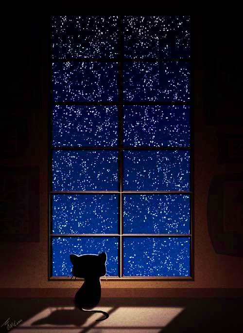 The fireworks have finally stopped and the night is clear and full of stars. If you're dreading tomorrow or the week to come for any reason, if you're sad or lonely or missing someone, or could just use a good hug for Monday, here's a goodnight hug from us to you...💖