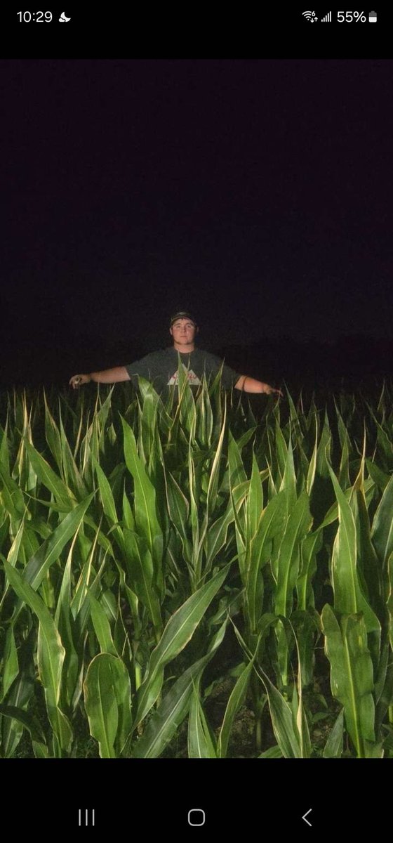 MarkDavis0129's tweet image. My son out checking his corn tonight, too dang hot to be checking fields during the heat of day. Doesn't look too bad other than the bit of Urea burn, which it should grow through without a lot of yield loss. ( hopefully)