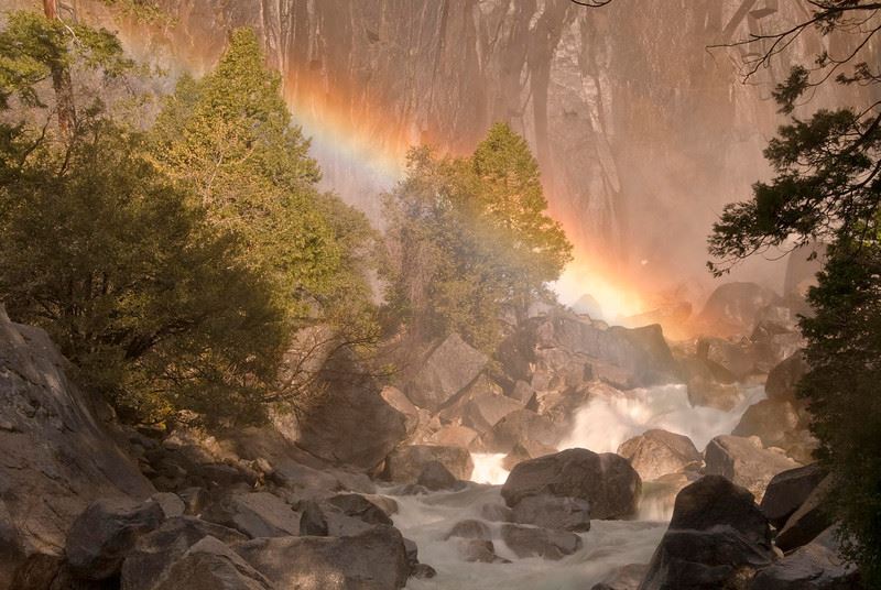BuddhaQuotes's tweet image. A bodhisattva knows perception is like a mirage, where no water can be apprehended.