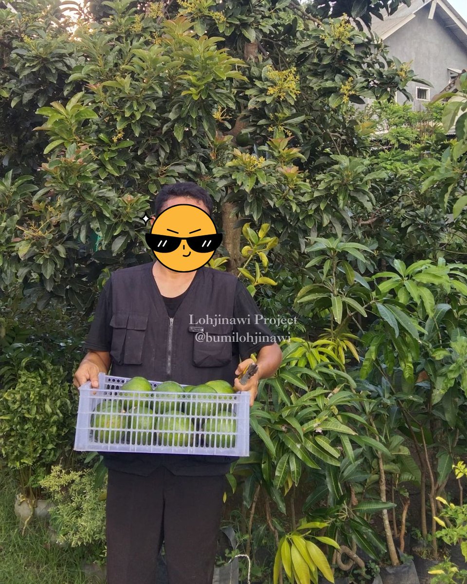 Lohjinawi Project Indonesia (LPRO) tweet media
