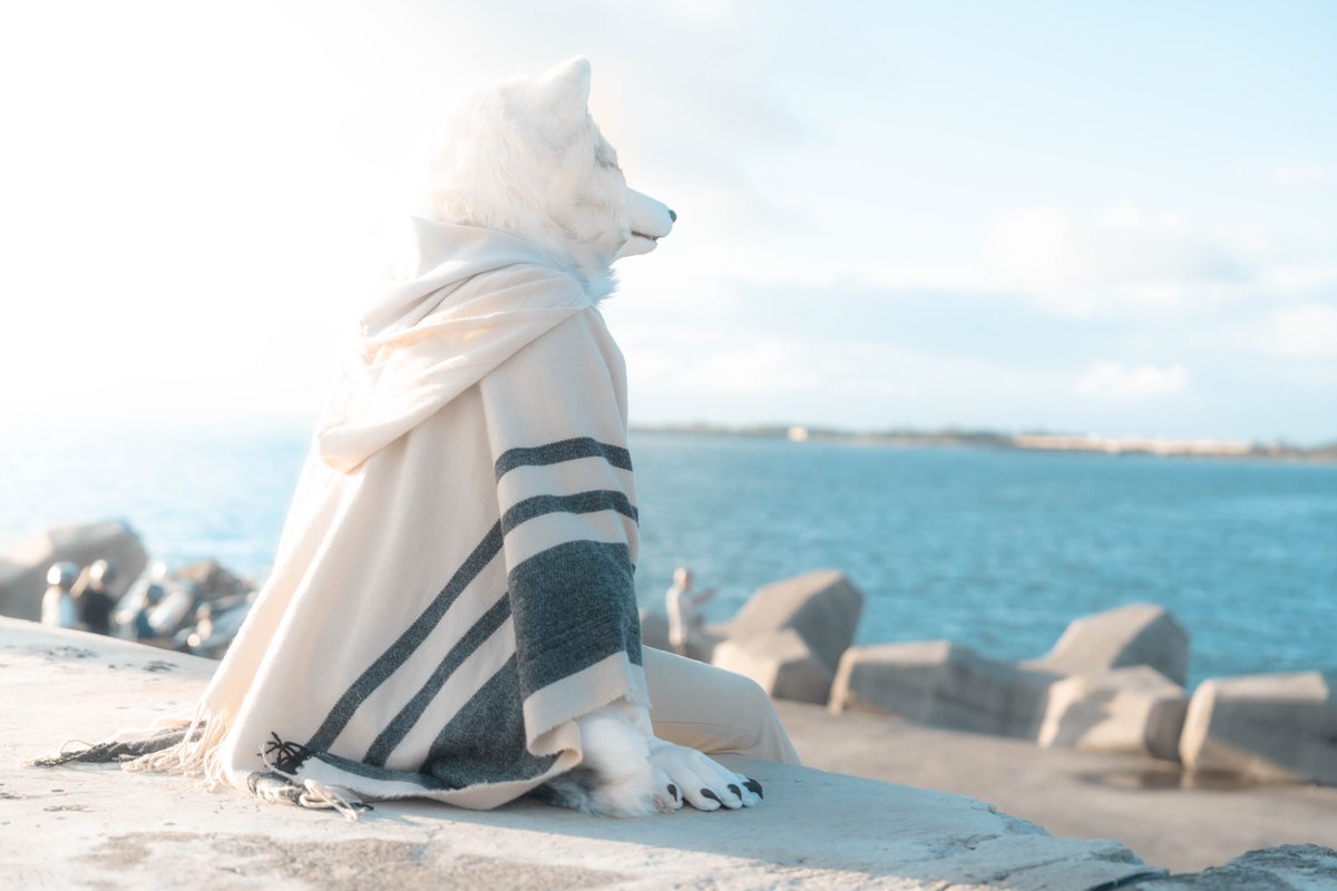 🐺: <a href="/nottsvwolf/">諾特／Nott／ノゥト</a> 

#Furry 
#fursuit 
#FurtoMonday 
#FursuitEveryday 
#fursuitphotographer
