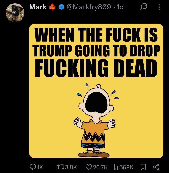 Internet_TLCM's tweet image. Never.

May Trump live to be 100 years, for you to live miserably every day.