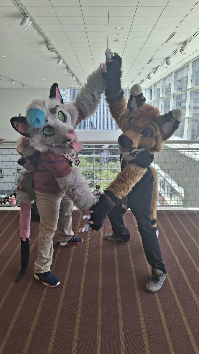 Slyzartrashboy's tweet photo. It’s always a joy seeing my fursuit siblings :0 @FawksUwU and I got some cute pictures together this year. More from AC comin soon! https://t.co/2fl14WJZ4d